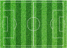 - Feuille Comestible Terrain