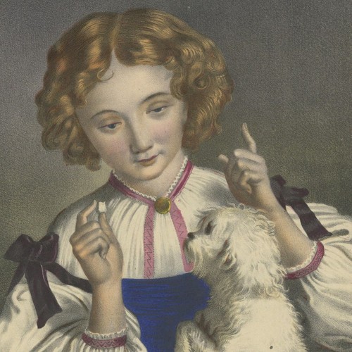 Jeune fille chien bichon - jeune,