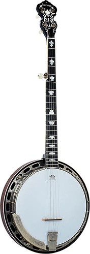Ashbury banjo 5 cordes - ab-95-5,