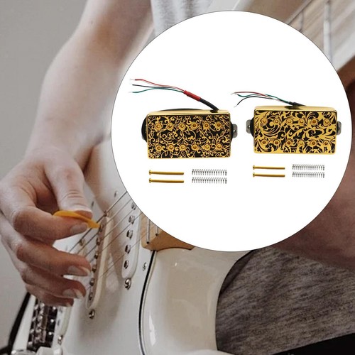 Micro electric guitare double - electric,
