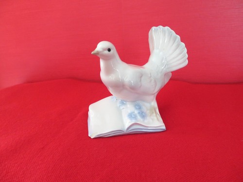 Pigeon porcelaine légèrement