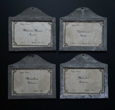 Lot de 4 portes étiquette en