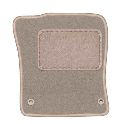 Tapis conducteur moquette - en,