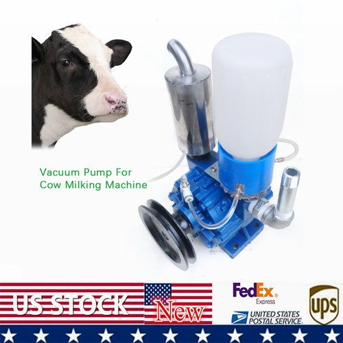Portable cow milking - cow, machine