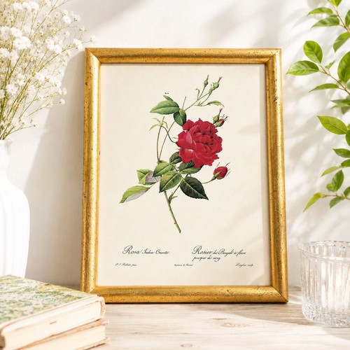 Petite reproduction botanique - reproduction,