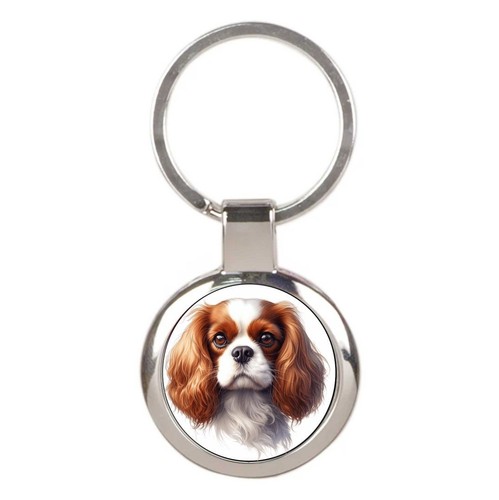 Cavalier king charles - king,