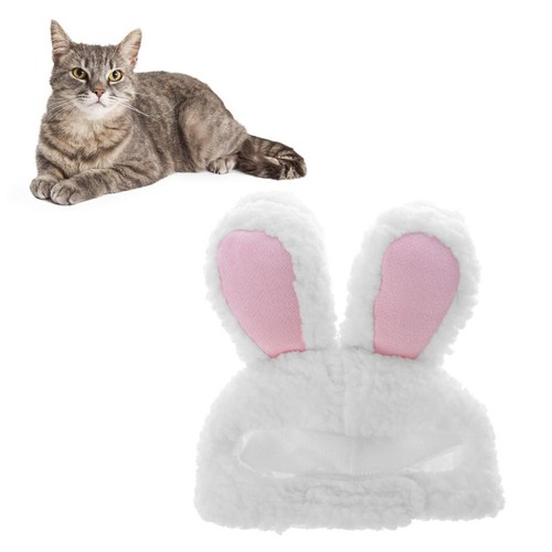 Deguisement chat déguisement - deguisement,