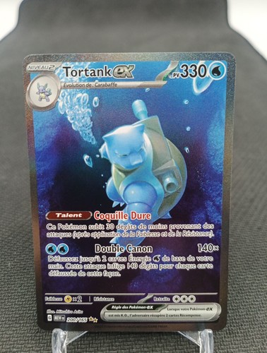 Tortank 200 165 carte - tortank, ex