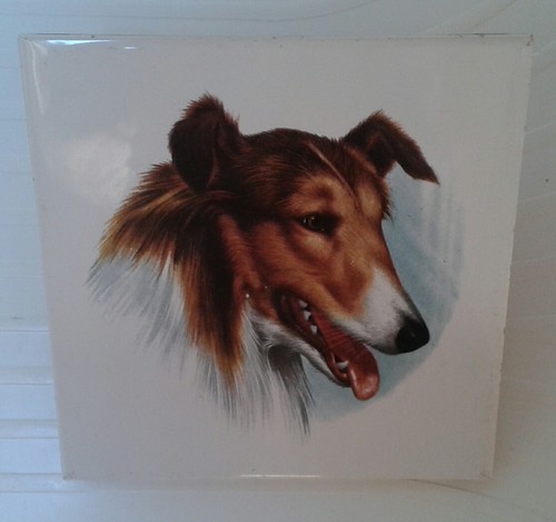 Chien colley villeroy et - colley,