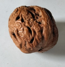 Ancienne noix chinoise