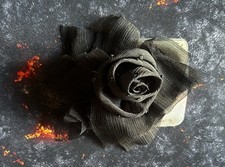 TRÈS BELLE PINCE À CHEVEUX