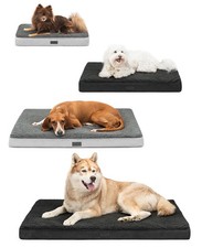 lionto Lit orthopédique pour