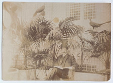 Homme chapeau serre oiseaux faisans jardin hiver - Photo ancienne snapshot