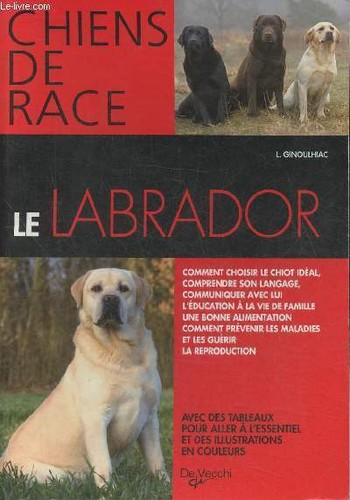 Labrador comment choisir - le, labrador-