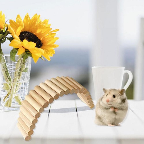 Hamster pont bois échelle - en,