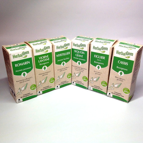 Herbalgem figuier cassis - figuier,