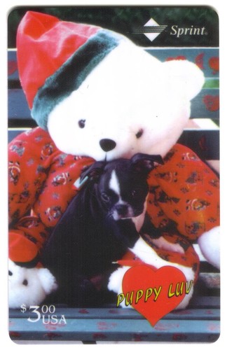 Chiot luv séries boston - chiot,