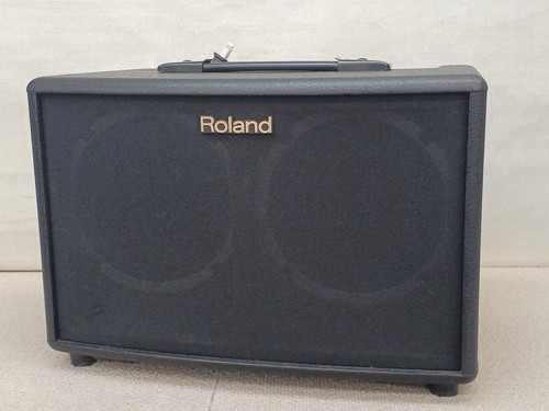 Roland acoustic chorus - roland,