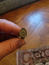 Fer A Dorer Reliure En Bronze