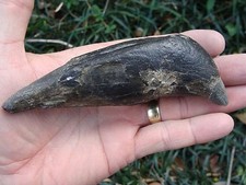 5.202 inch MEG SNACK Georgia