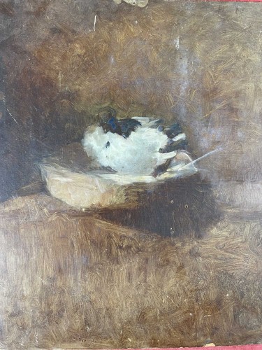 Colombe nid huile sur - colombe, au