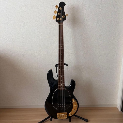 Musicman stingray édition - musicman,
