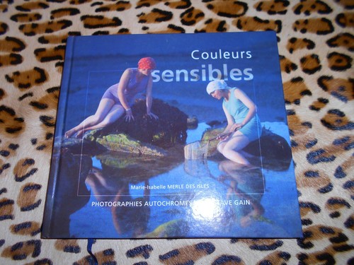 Merle des isles couleurs - merle,
