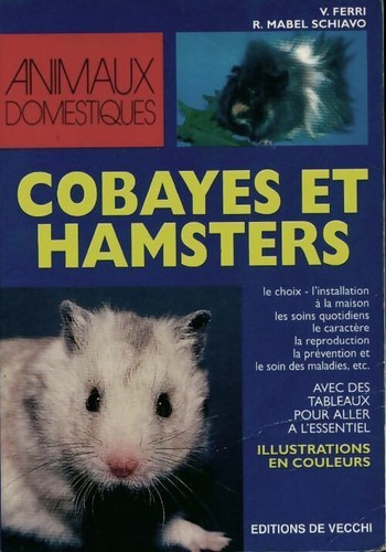 Cobayes hamsters - hamsters,