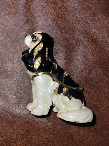 Cavalier king charles spaniel - king,