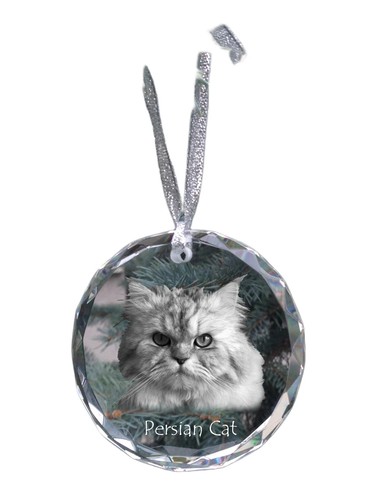 chat persan