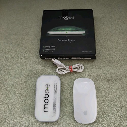 Souris sans fil apple - souris,