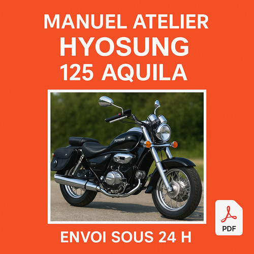 Manuel atelier hyosung - manuel,