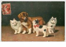 CATS.n°958.CHATS AND PUPPY TYPE SHEPHERD OR COLLARY
