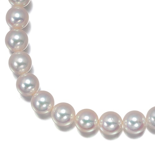 Auth mikimoto necklace akoya - mikimoto,