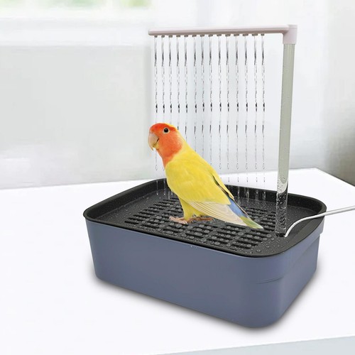 Boîte bain oiseaux - de, de