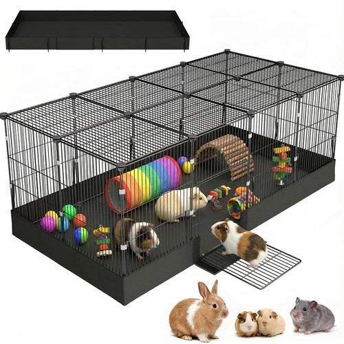 Planes guinea pig - guinea, cages