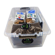 Mushroom Monotub Growing Kit -Rye Grain Spawn Bags Substrate How to Grow At Home