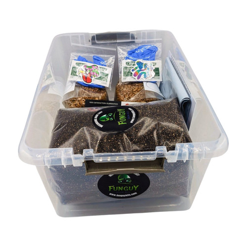 Mushroom monotub growing kit - mushroom,