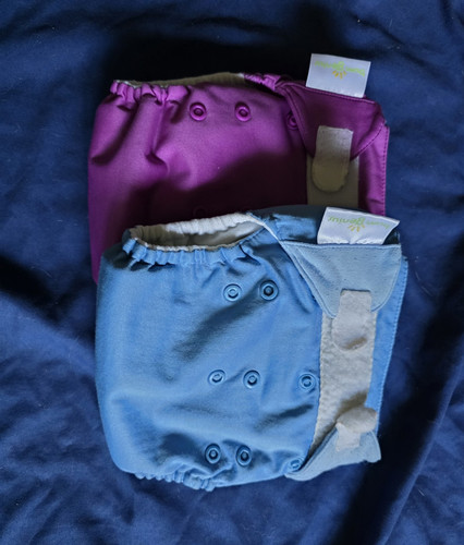 Bumgenius reusable baby cloth - bumgenius,
