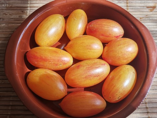 Graines tomates blush - 15,