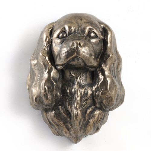 Cavalier king charles spaniel - king,