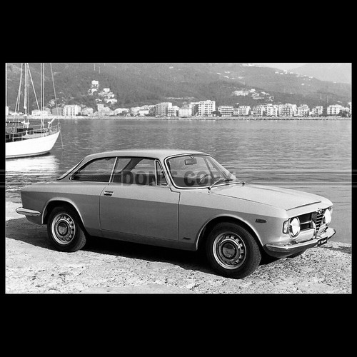 Photo 037245 alfa - photo, gt