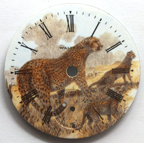 Waltham taille guépard - 18,