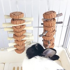 Hamster Chew Toys Dents