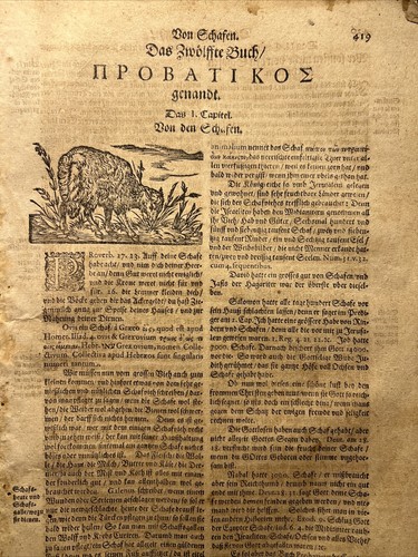 Pages 1603 moutons chèvre - pages,