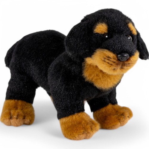 Chien rottweiler debout - chien,