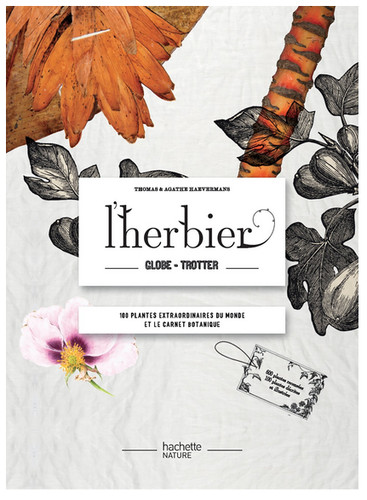 Haevermans l herbier - haevermans, l'herbier