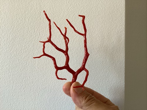 Fine branche corail - corail, rouge