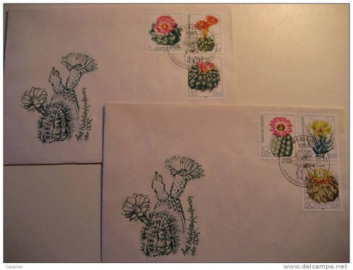 Ddr allemagne cactus cactées - ddr,