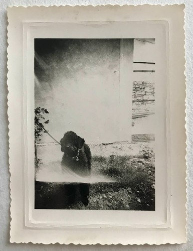 Photo ancienne vintage - photo,
